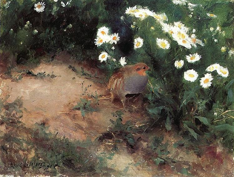 bruno liljefors Partridge with Daisies Spain oil painting art